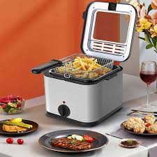 Mini Friteuse Électrique 2 Personnes - 1000W