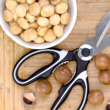 Ciseaux Cuisine Professionnel Joejis – Précision et Durabilité