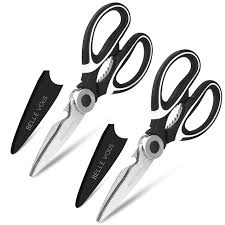 Ensemble Ciseaux Robustes en Inox - Précision et Durabilité