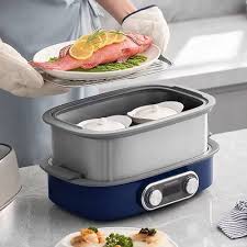 Appareil Électrique Domestique en Inoxydable : Performance et Élégance