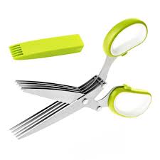 Ciseaux Inoxydables BangShou pour Herbes Aromatiques