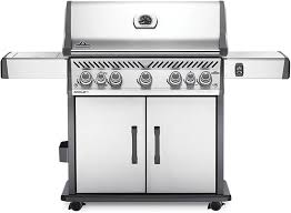 Barbecue Napoleon Rogue Édition Spéciale : L'expérience de grillade ultime