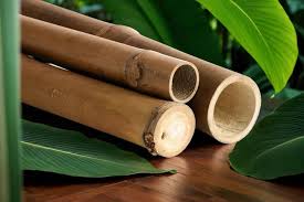 Tube en Bambou Moso 3/4" - Idéal pour vos Barbecues