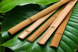 Latte Bambou 100 : L'Essentiel pour Vos Repas