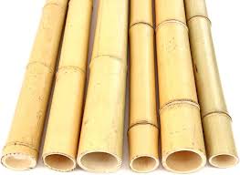 Cannes Bambou Blanchis Comparatifs Longueur - Élégance et Efficacité