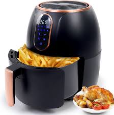 Friteuse Inoxydable Numérique Professionnelle Amovible